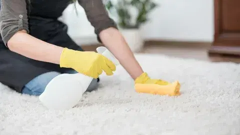 Technician deep cleaning commercial carpet with an extraction machine in Denver