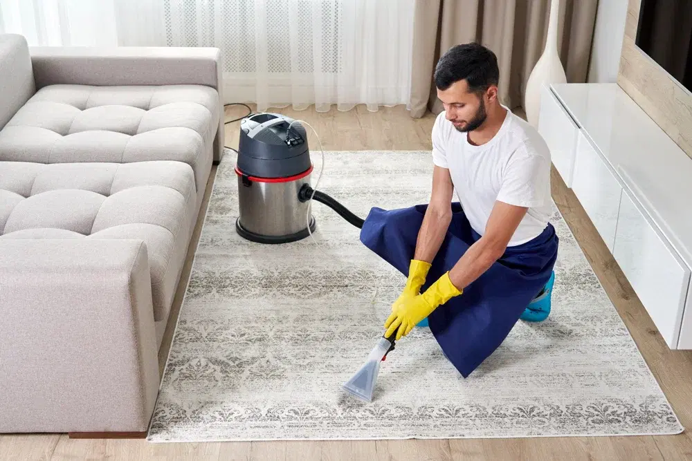 Expert carpet cleaning results in a Denver property